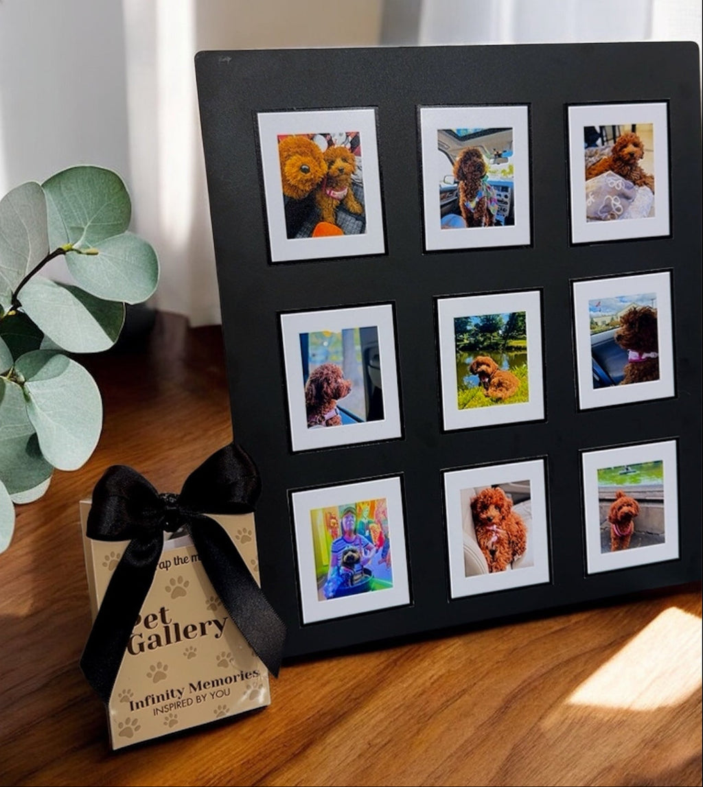 PET GALLERY COLLECTION