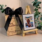 PET GALLERY COLLECTION