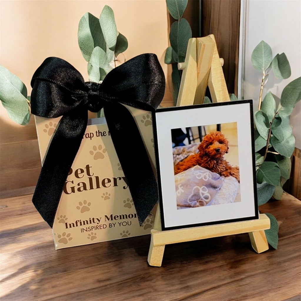 PET GALLERY COLLECTION