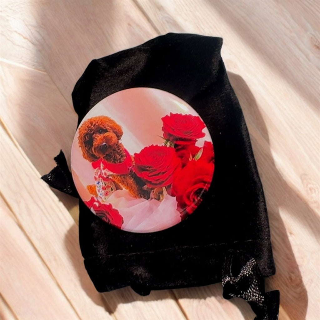 HARD MAGNETS COLLECTION - Set of 9 photos