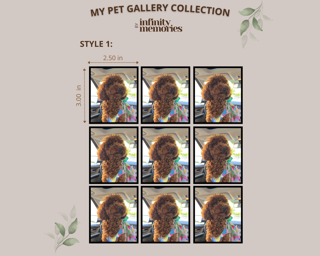 PET GALLERY COLLECTION