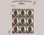 PET GALLERY COLLECTION