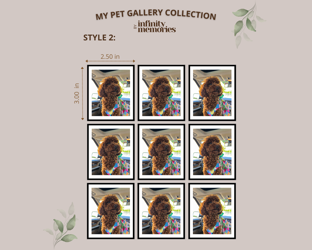 PET GALLERY COLLECTION