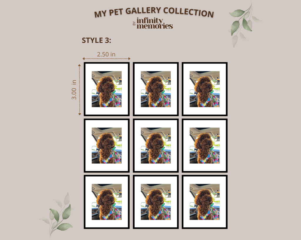 PET GALLERY COLLECTION