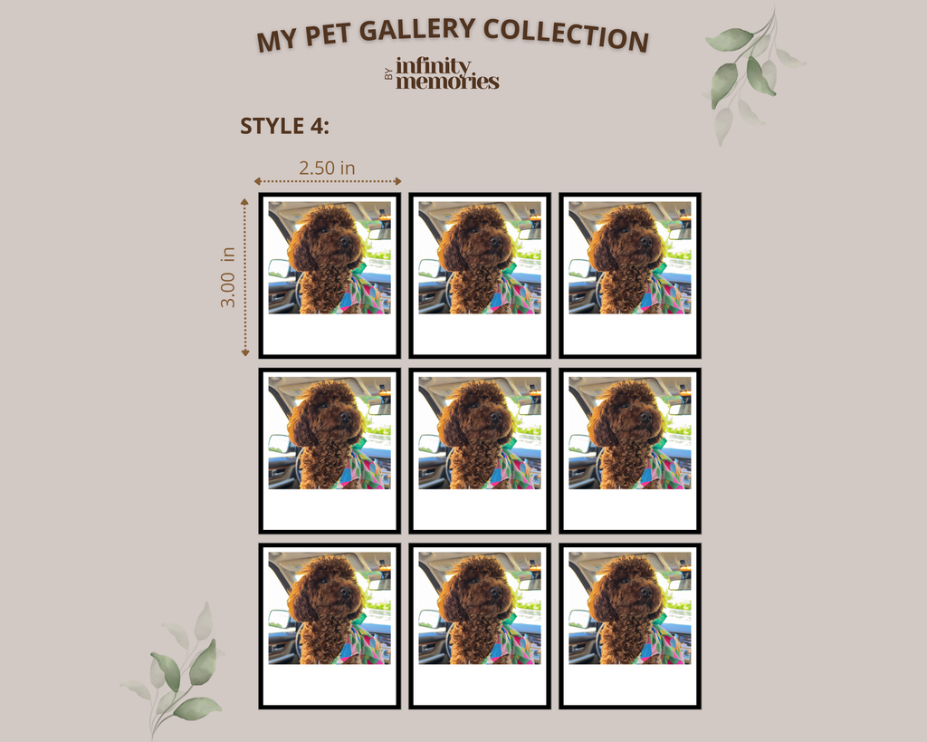 PET GALLERY COLLECTION